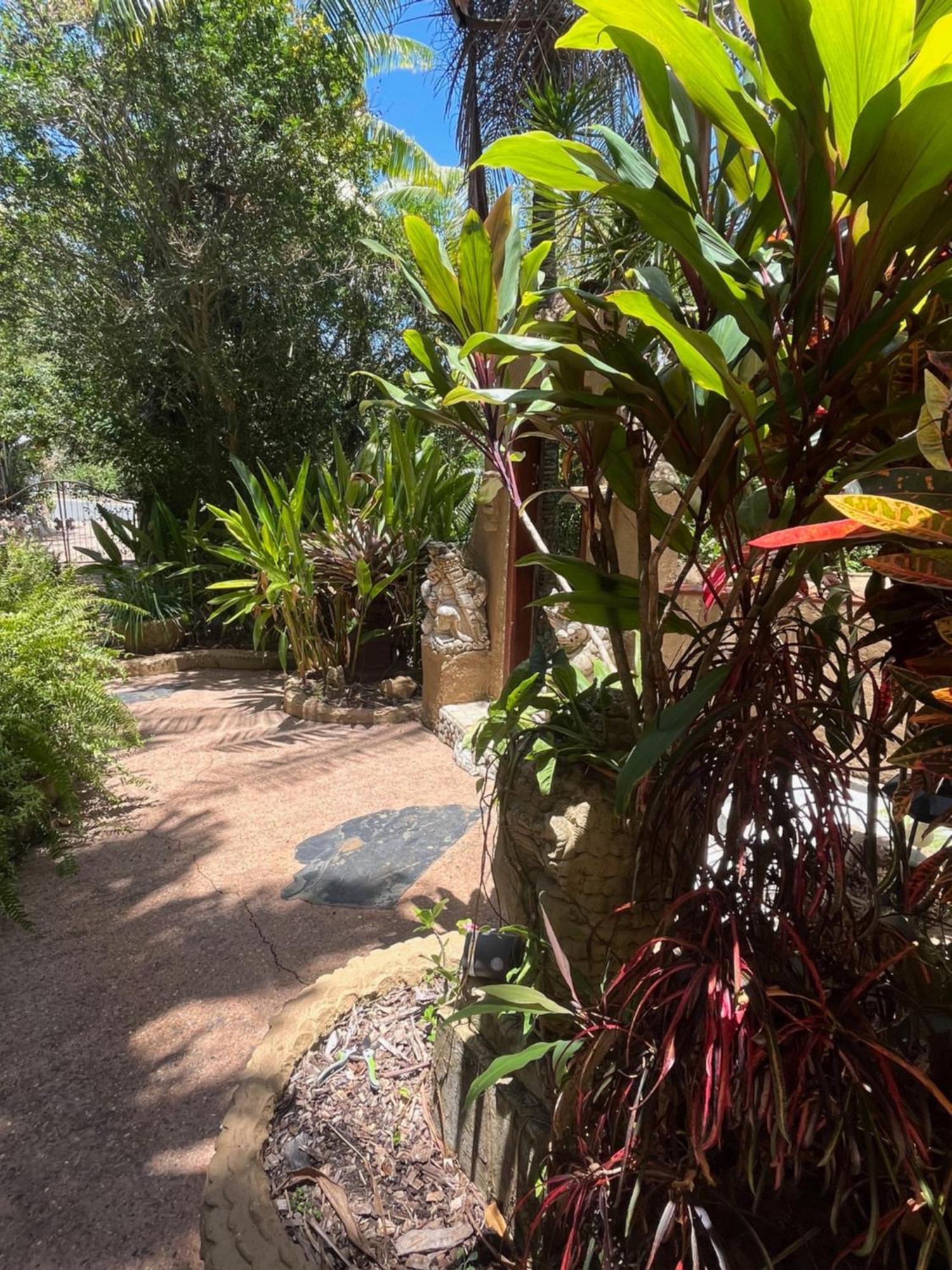Whitsundays Bnb Retreat Airlie Beach Dış mekan fotoğraf